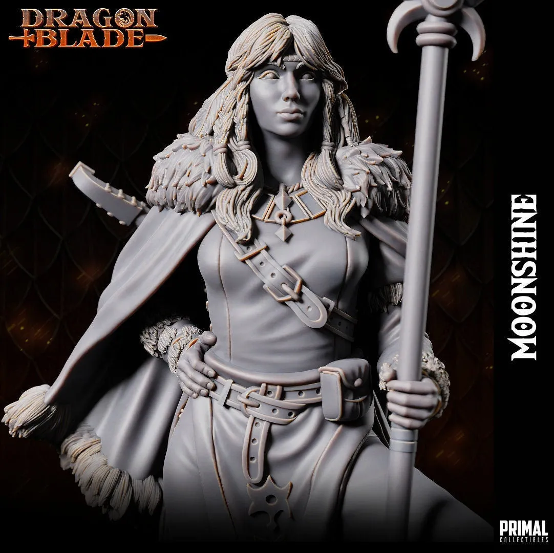 DNDDGL - BASIC BUNDLE Dragonlance 12 Miniatures Heroes and Boss