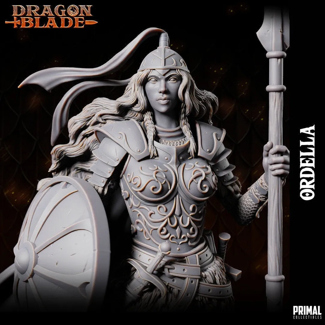 DNDDGL - BASIC BUNDLE Dragonlance 12 Miniatures Heroes and Boss